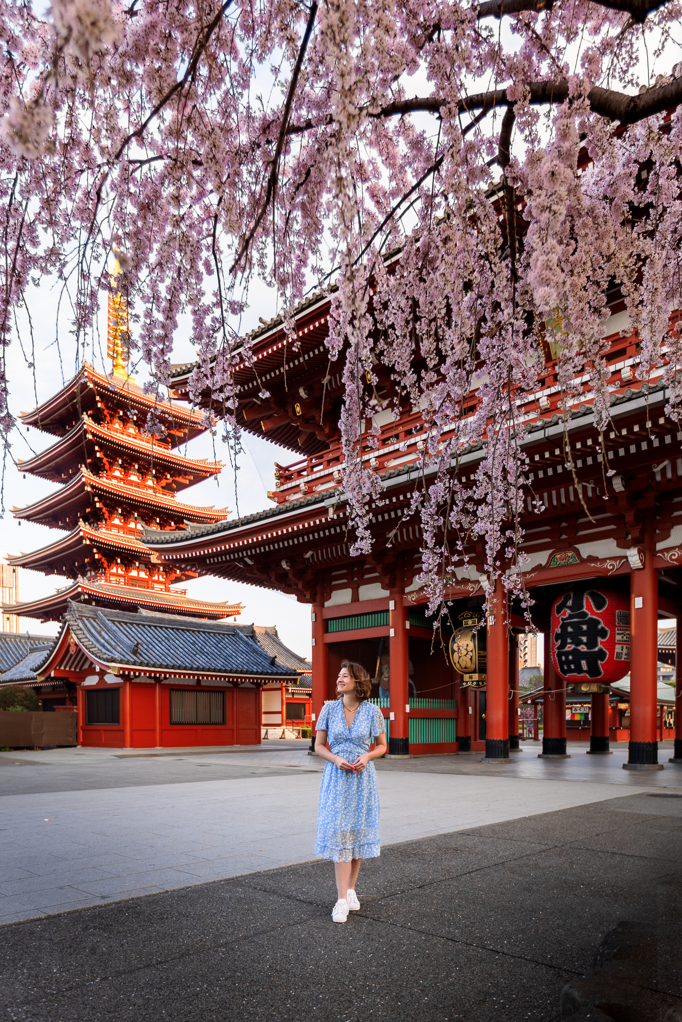 Spring 2024 Japan Discovery Deluxe Tour - Tokyo/Kyoto — Travel